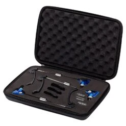 Lion Sports Schwung!