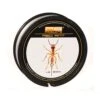 PB-Products Red Ant Snagleader 35lb 80m -Solar Vis Winkel 62353p 23463